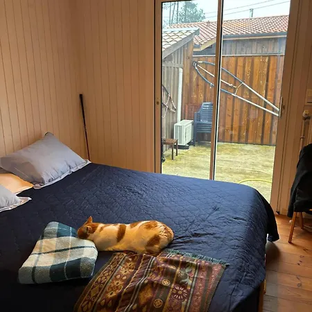 Barcarolle - Bassin Arcachon Holiday home *